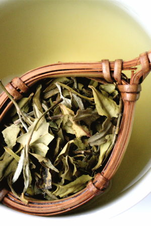 té-blanco